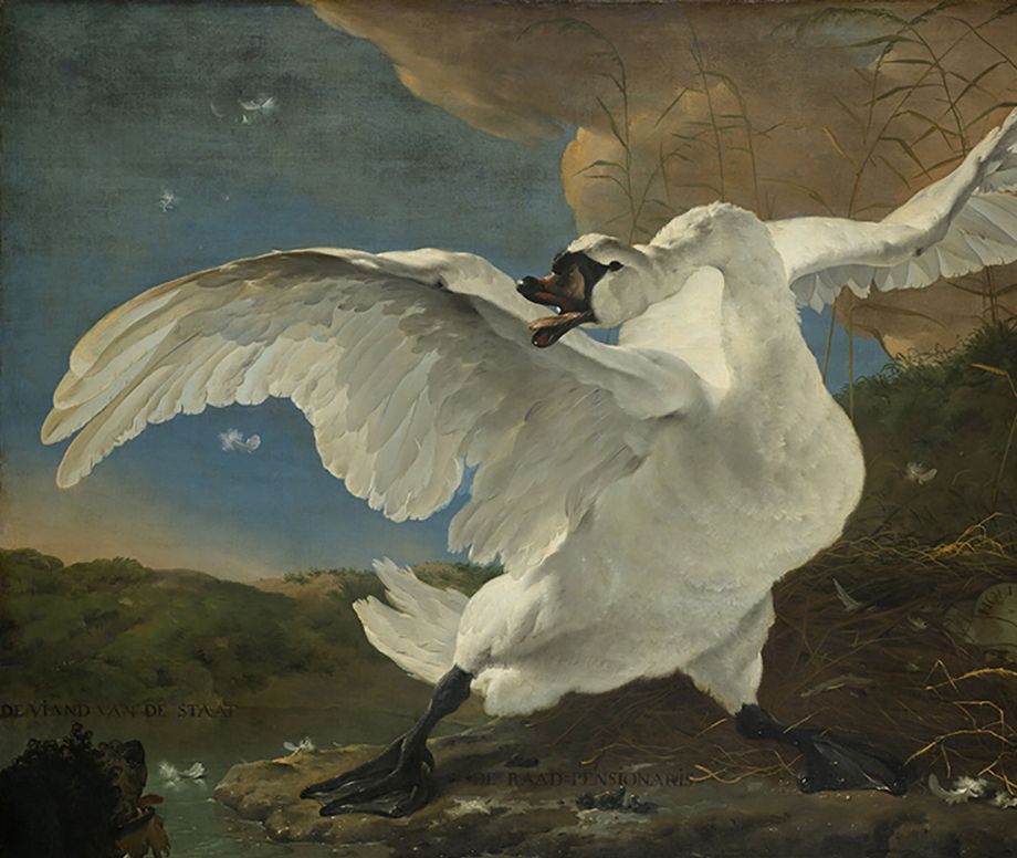This is the painting by Thomas Asselijn